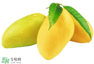 芒果哪里的最好吃？芒果哪種品種好吃？