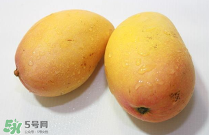 芒果哪里的最好吃？芒果哪種品種好吃？