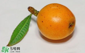 枇杷可以和蔥一起煮嗎？蔥和枇杷葉一起煮可以喝嗎？