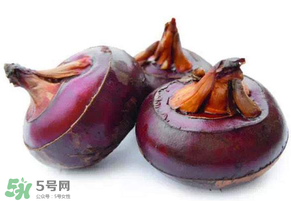 枇杷可以和荸薺一起煮水嗎？枇杷和荸薺能一起吃嗎？