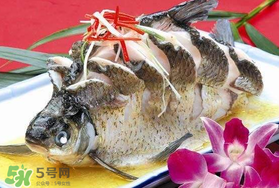 枇杷和魚能一起吃嗎？吃完魚可以吃枇杷嗎？