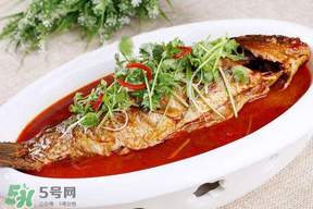 枇杷和魚能一起吃嗎？吃完魚可以吃枇杷嗎？