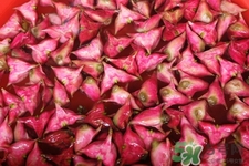 3月份的菱角可以吃嗎？菱角什么時候吃最好？