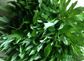 清明草是艾草嗎？清明菜是什么草？