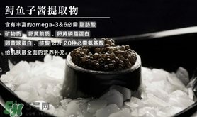 至本是什么牌子？至本什么檔次？