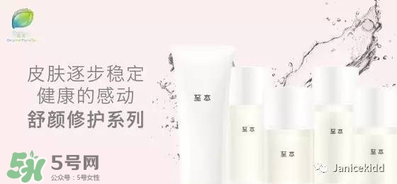 至本是什么牌子？至本什么檔次？