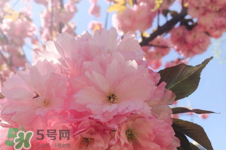 倒春寒吃什么食物？倒春寒吃什么御寒？