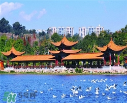 4月份去昆明穿什么？四月份去昆明穿什么衣服？