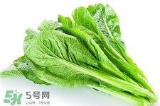 春分要吃春菜嗎？春分為什么要吃春菜？