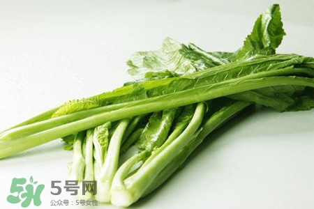 春分要吃春菜嗎？春分為什么要吃春菜？