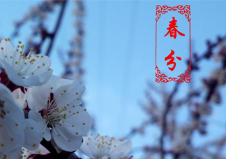春菜為什么會(huì)苦？春菜發(fā)苦能吃嗎？
