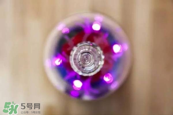 camino美女與野獸音響多少錢？camino玫瑰藍牙音箱價格
