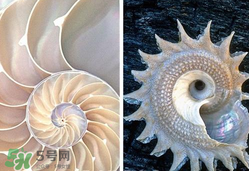 珍珠貝母表盤好嗎？珍珠貝母表盤耐用嗎？