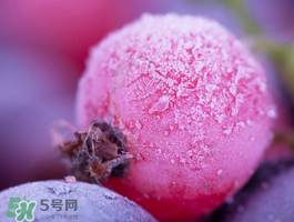 藍莓變紅可以吃嗎？藍莓發紅是壞掉了嘛？