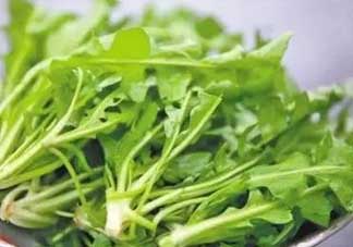 便秘能吃薺菜嗎？便秘可以吃薺菜嗎？