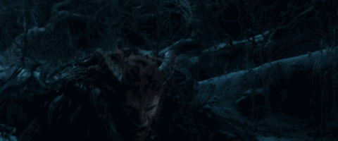 野獸派美女與野獸水晶球多少錢？野獸派音樂水晶球價(jià)格