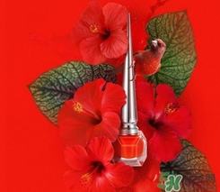cl指甲油多少錢？cl紅底鞋指甲油專柜價(jià)格
