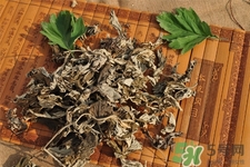艾草是哪個(gè)季節(jié)的？艾草是什么季節(jié)采摘？