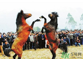 三月三有什么禁忌？三月三有什么講究？