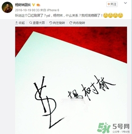 楊樹林口紅是什么牌子？楊樹林口紅是哪個國家的？