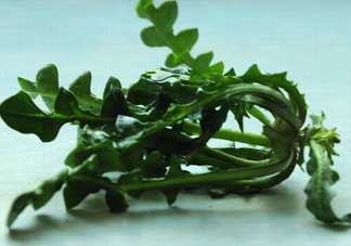 乙肝能吃薺菜嗎？乙肝病人可以吃薺菜嗎？