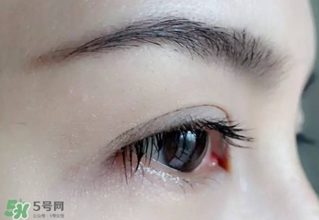serge lutens蘆丹氏睫毛膏怎么樣？蘆丹氏睫毛膏好不好用？