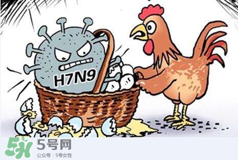 怎樣預防禽流感？如何預防禽流感