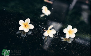 三月份為什么一直下雨？2017年三月份為什么雨多？