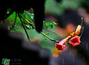 2017年梅雨季節是幾月？2017年梅雨季節是什么時候？