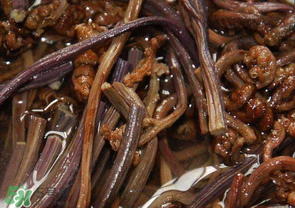 蕨菜能吃嗎？蕨菜可以吃嗎？