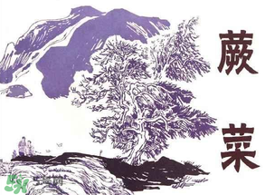 吃蕨菜會過敏嗎？皮膚過敏能吃蕨菜嗎？