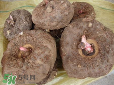 魔芋什么味道？怎么去除魔芋味道？