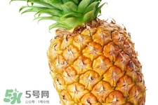 過敏性鼻炎可以吃菠蘿嗎？過敏性鼻炎能不能吃菠蘿？