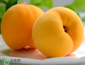 黃桃為什么那么貴？黃桃為什么這么貴？