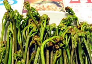 蕨菜有毒嗎？吃蕨菜會中毒嗎？