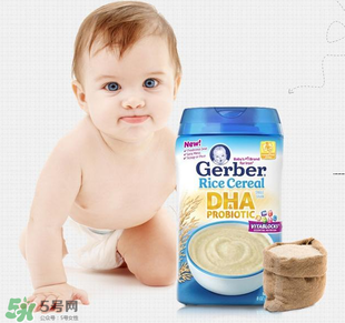 嘉寶dha米粉含鐵嗎？ 嘉寶dha米粉含鐵量多少？