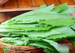 油麥菜糖尿病能吃嗎？糖尿病能吃油麥菜嗎？