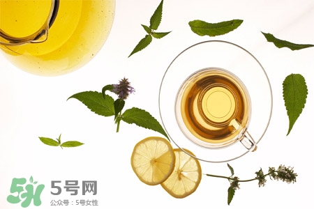苦丁茶的營養價值 苦丁茶的功效與作用