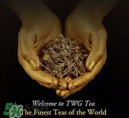 twg茶哪個(gè)最經(jīng)典？twg茶葉哪個(gè)好喝？