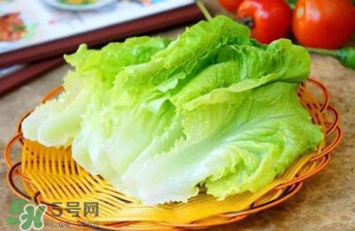 生菜可以放冰箱嗎？生菜可以放冰箱多久？