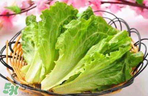 生菜可以放冰箱嗎？生菜可以放冰箱多久？