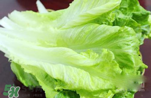 生菜可以放冰箱嗎？生菜可以放冰箱多久？