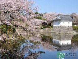 5月份去日本穿什么？五月份去日本穿什么衣服？