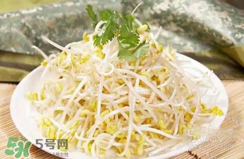 黃豆芽熱量高嗎？吃黃豆芽會長胖嗎？