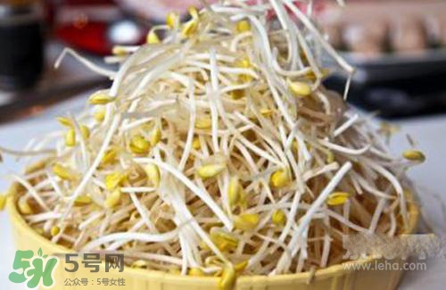 黃豆芽熱量高嗎？吃黃豆芽會長胖嗎？