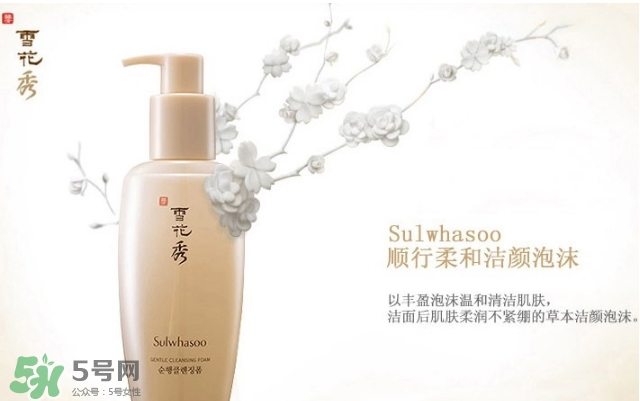 雪花秀順行洗面奶適合什么皮膚？雪花秀順行洗面奶適合膚質？