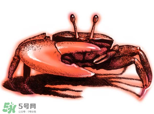 五月份可以吃螃蟹嗎？5月份可以吃螃蟹嗎？