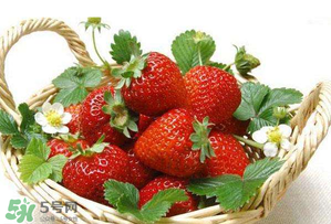 五月份還有草莓嗎？5月份還有草莓嗎？