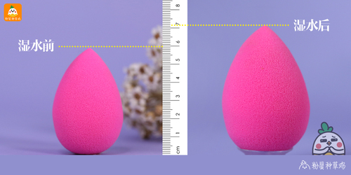 beauty blender美妝蛋和rt美妝蛋哪個好？