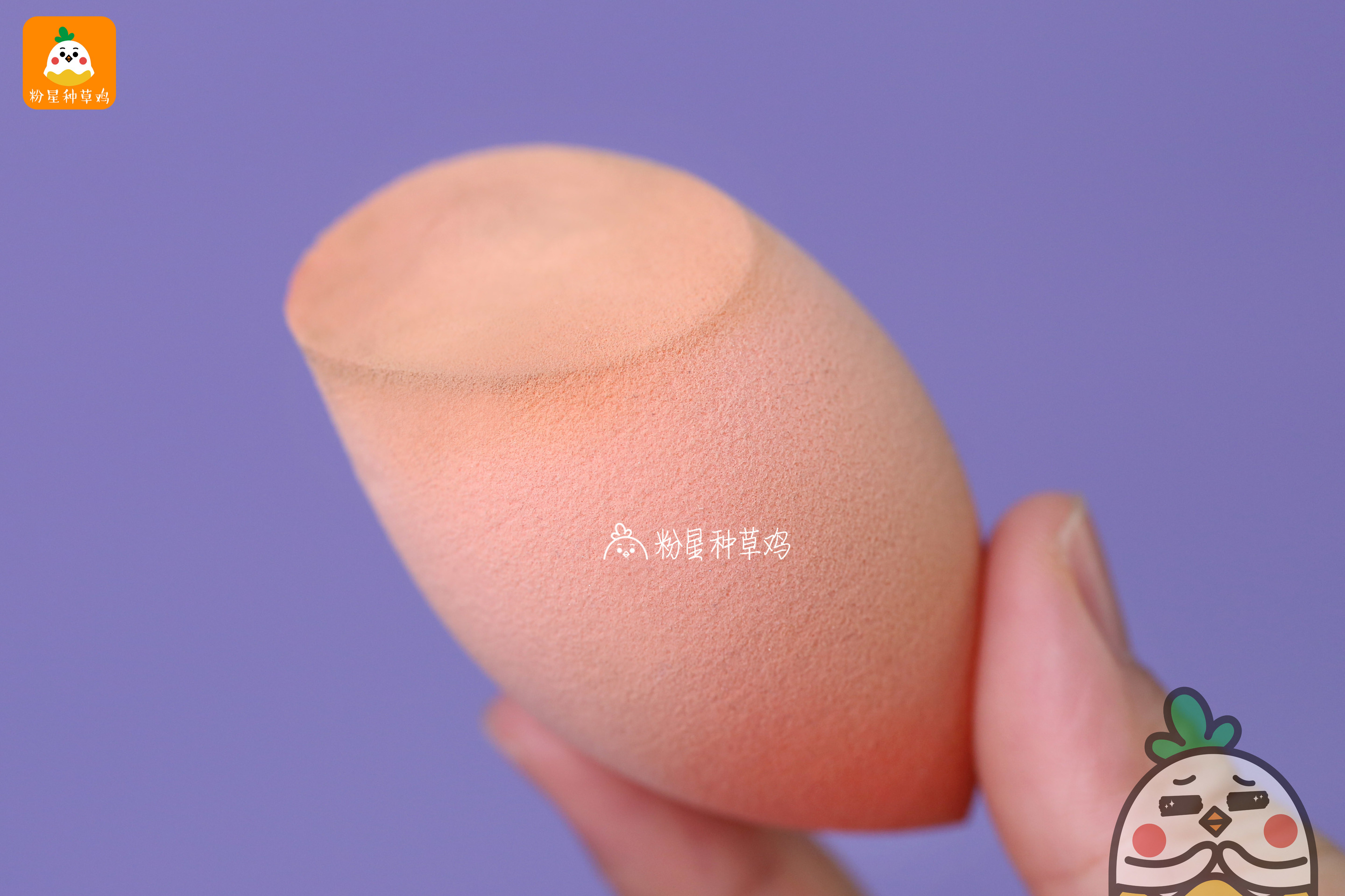 beauty blender美妝蛋和rt美妝蛋哪個好？
